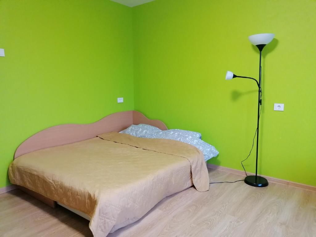 Апартаменты Little cozy apartment in Visaginas Висагинас-15